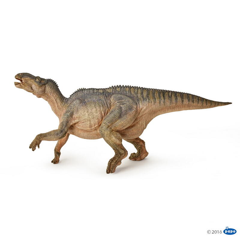 Iguanodon, Papo