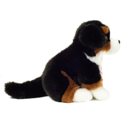 Siddende Berner Senner, 21 cm, Teddy Hermann