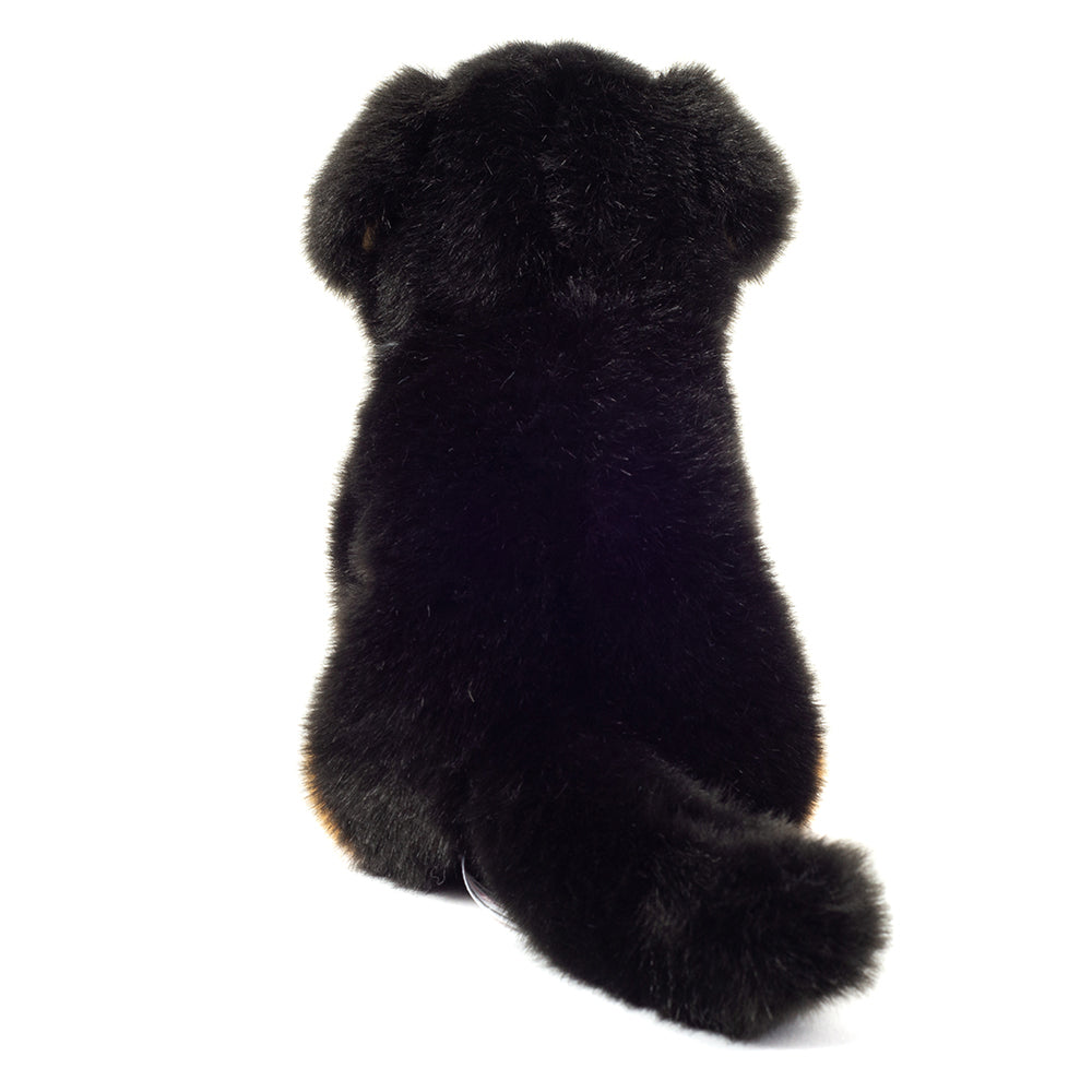 Siddende Berner Senner, 21 cm, Teddy Hermann