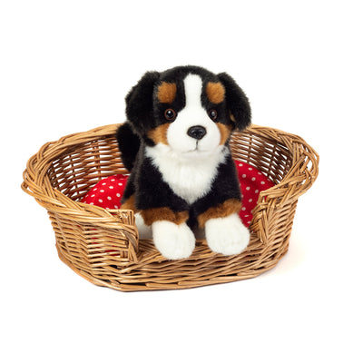 Siddende Berner Senner, 21 cm, Teddy Hermann