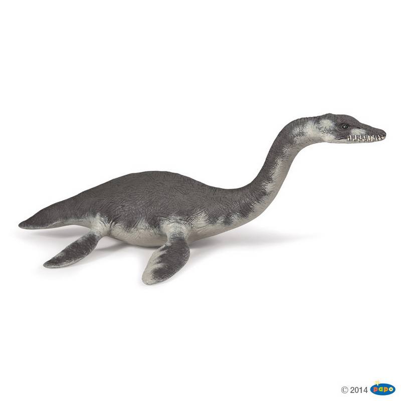Plesiosaurus, Papo