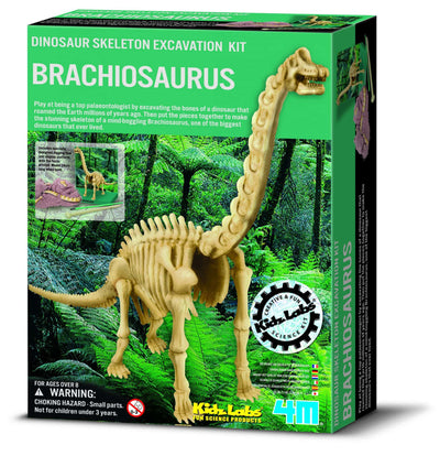 Brachiosaurus Udgravningssæt fra 4M