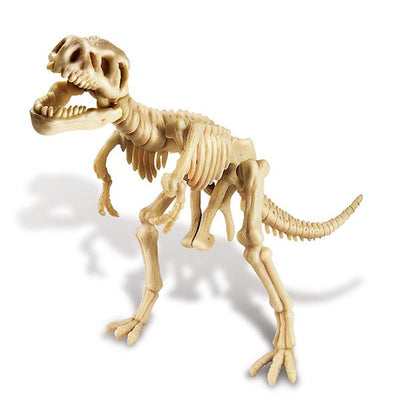 T-rex skelet